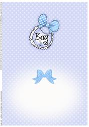 New Baby Insert A5 Landscape