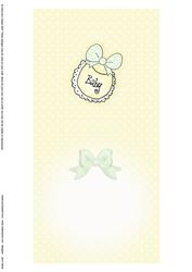 New Baby Insert Square Landscape
