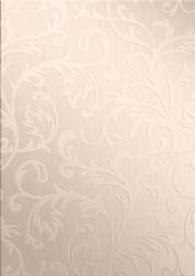 Elegant Metallic Greeting Matching Vellum