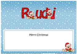 Large DL Merry Christmas RUDI insert