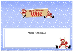 large DL Merry Christmas WIFE with Rudolph insert