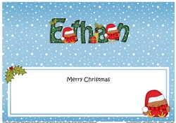 Large DL Merry Christmas ETHAN insert