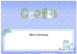 Large DL Merry Christmas COLIN insert