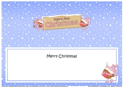 large DL Merry Christmas BABYS FIRST CHRISTMAS with Robins insert