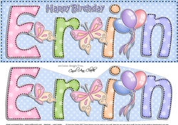 Large DL Happy Birthday ERIN 3D decoupage