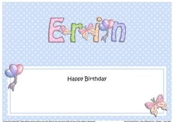 Large DL Happy Birthday ERIN insert