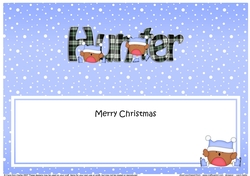 Large DL Merry Christmas HUNTER insert