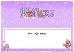 Large DL Merry Christmas WILLOW insert