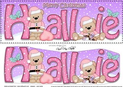Large DL Merry Christmas HALLIE 3D decoupage