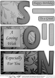 Son Elegant Metallic Book Sheet