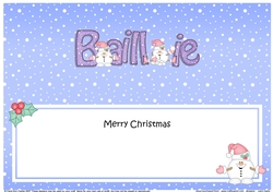 Large DL Merry Christmas BAILLIE insert