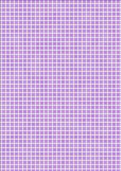 Pretty Gingham Backing Paper