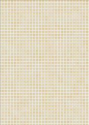 Pretty Gingham Backing Paper