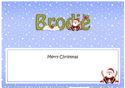 Large DL Merry Christmas BRODIE insert