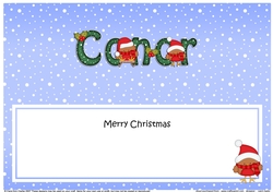 Large DL Merry Christmas CONOR insert