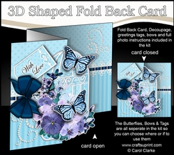 3D Shaped No-Hole Fold Back Mini Kit - Birdcage, Spring Flowers, Butterflies & Lace 