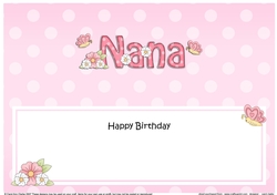 Large DL Happy Birthday NANA insert