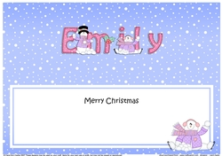 Large DL Merry Christmas EMILY insert