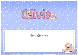Large DL Merry Christmas OLIVIA insert