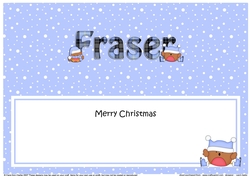Large DL Merry Christmas FRASER insert