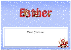 Large DL Merry Christmas ESTHER insert