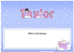 Large DL Merry Christmas TAYLOR insert