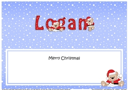 Large DL Merry Christmas LOGAN insert