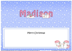 Large DL Merry Christmas MADISON insert