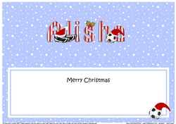 Large DL Merry Christmas ALISHA insert