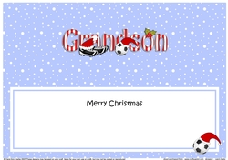 Large DL Merry Christmas GRANDSON insert