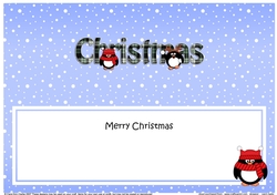 Large DL MERRY CHRISTMAS insert