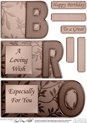 Bro Elegant Metallic Book Sheet