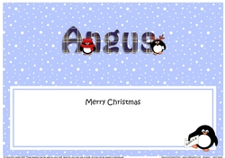 Large DL Merry Christmas ANGUS insert