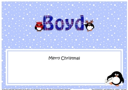 Large DL Merry Christmas BOYD insert