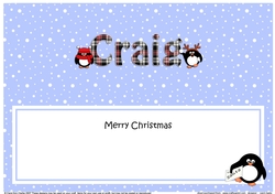 Large DL Merry Christmas CRAIG insert
