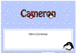 Large DL Merry Christmas CAMERON insert