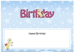 Large DL HAPPY BIRTHDAY insert