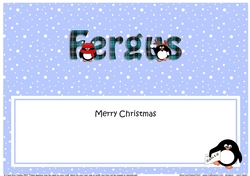 Large DL Merry Christmas FERGUS insert