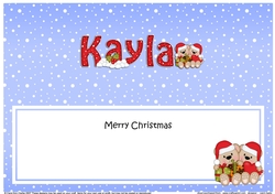 Large DL Merry Christmas KAYLA insert