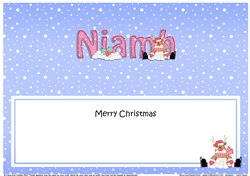 Large DL Merry Christmas NIAMH insert