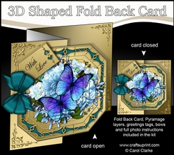 3D Shaped No-Hole Fold Back Pretty Floral Card with Pyramage Mini Kit  -  Butterfly Blues