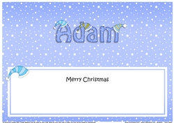 Large DL Merry Christmas ADAM insert