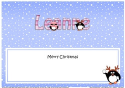 Large DL Merry Christmas LEANNE insert