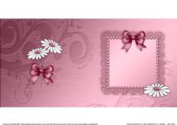 Daisies and Metallic Lace Matching Insert Square Portrait