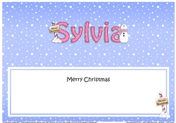 Large DL Merry Christmas SYLVIA insert