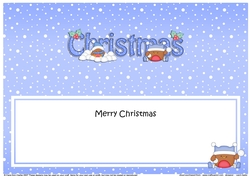 Large DL MERRY CHRISTMAS insert