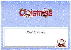 Large DL MERRY CHRISTMAS insert