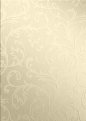 Elegant Metallic Greeting Matching Vellum