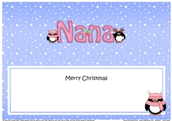 Large DL Merry Christmas NANA insert