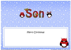 Large DL Merry Christmas SON insert
